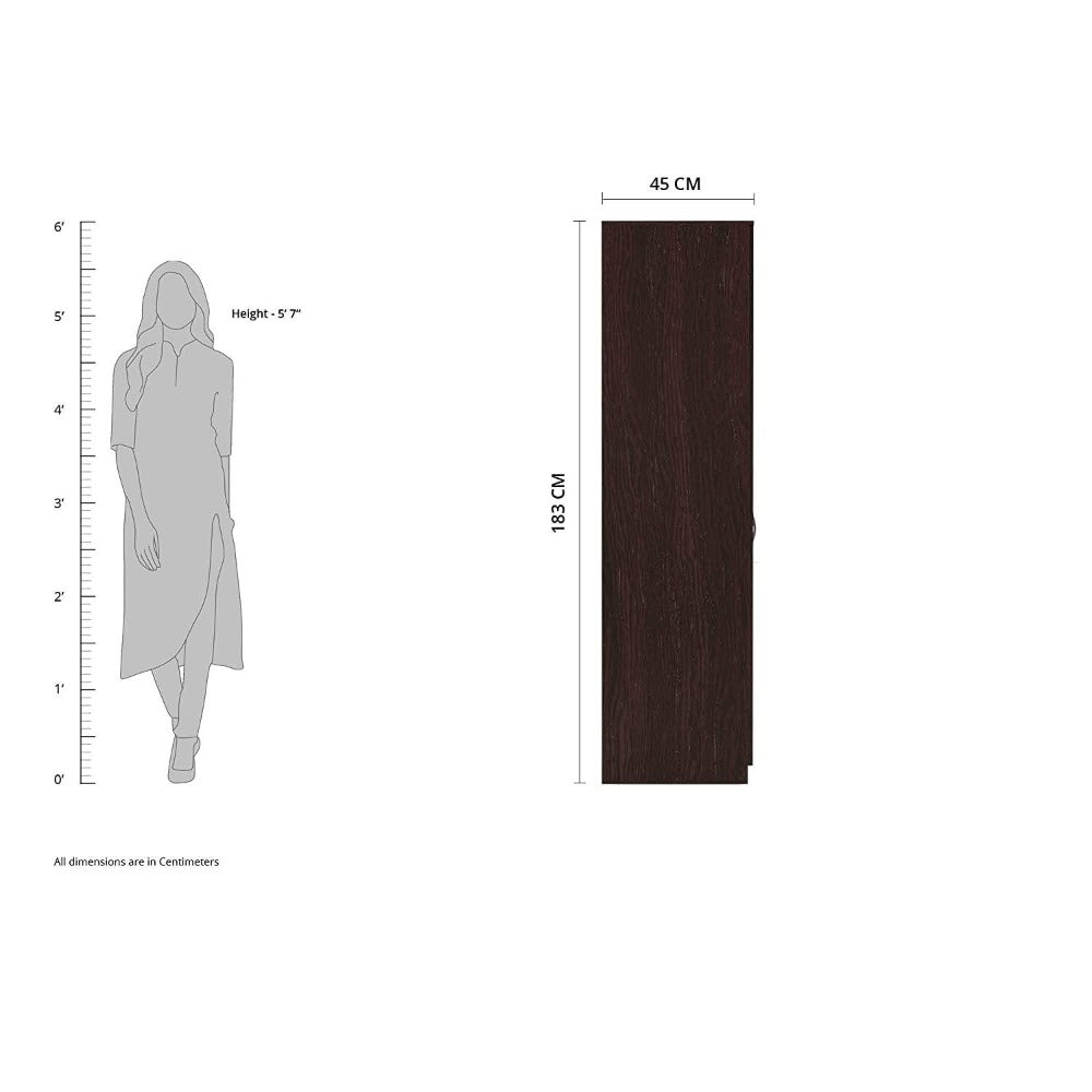 Dulex Medusa Engineered Wood Wardrobe Wenge Finish - Teak Inside